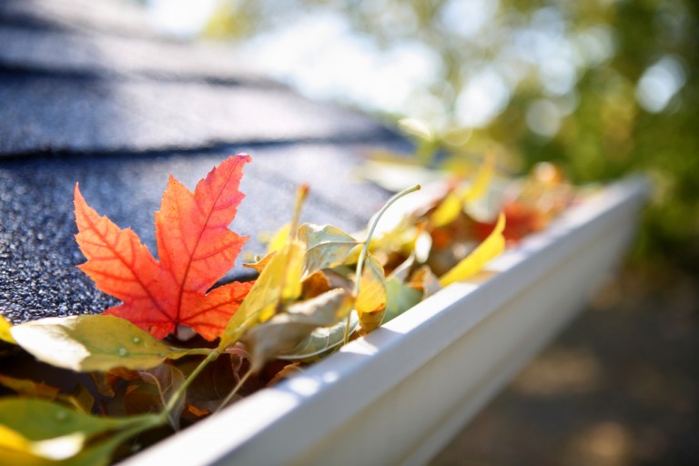 Autumn Jobs: How to Prepare Your Home and Garden